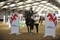 New champions spring into action at the British Showjumping Spring Championships 